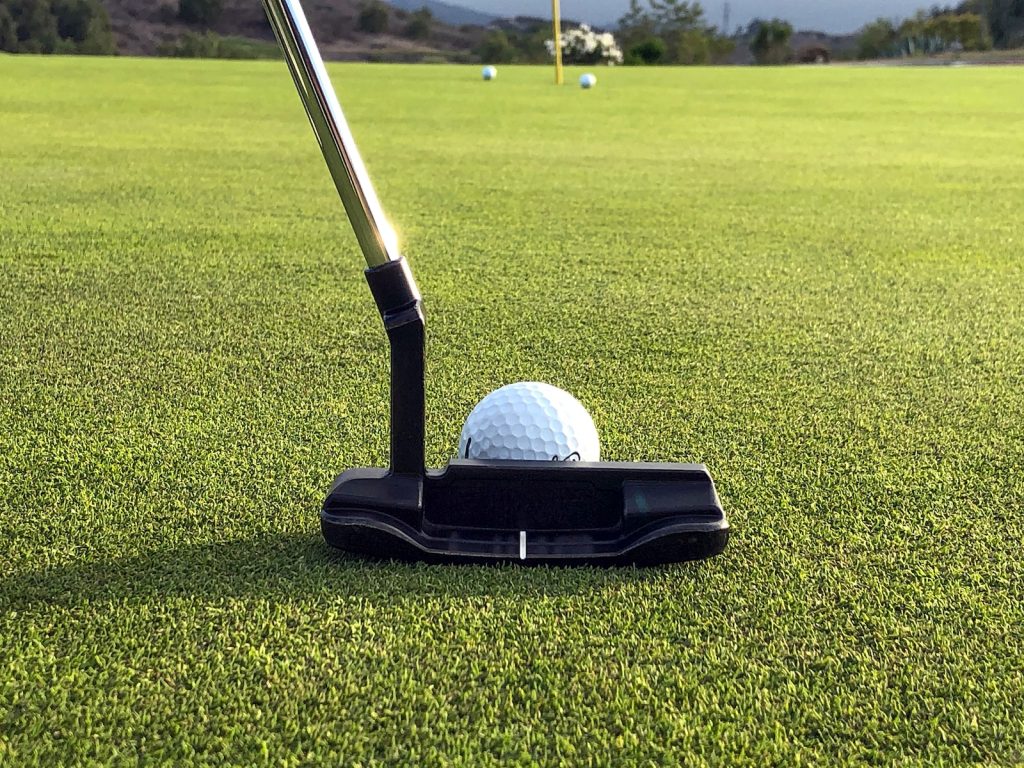 Understanding the Role of Alignment Aids on Putters Understanding the Role of Alignment Aids on Putters