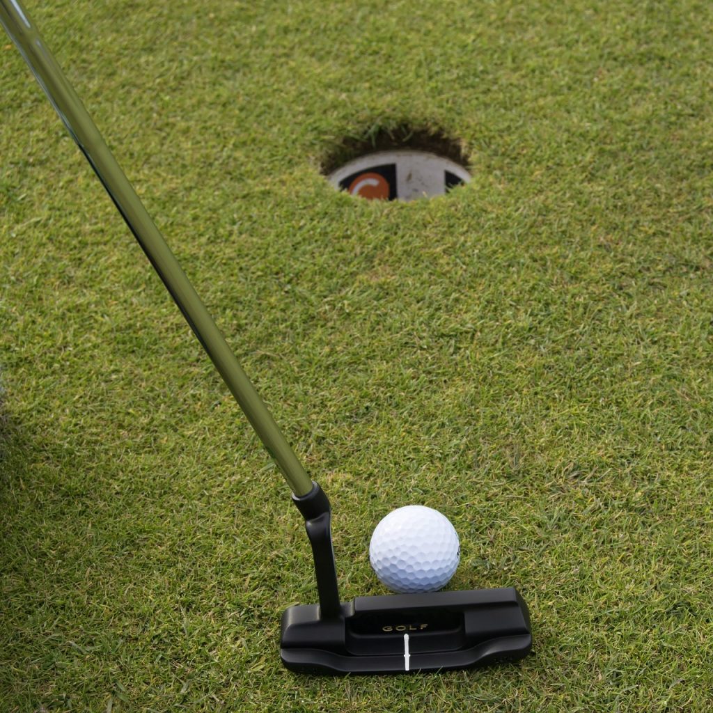Understanding the Variations: Blade vs. Mallet Putters
